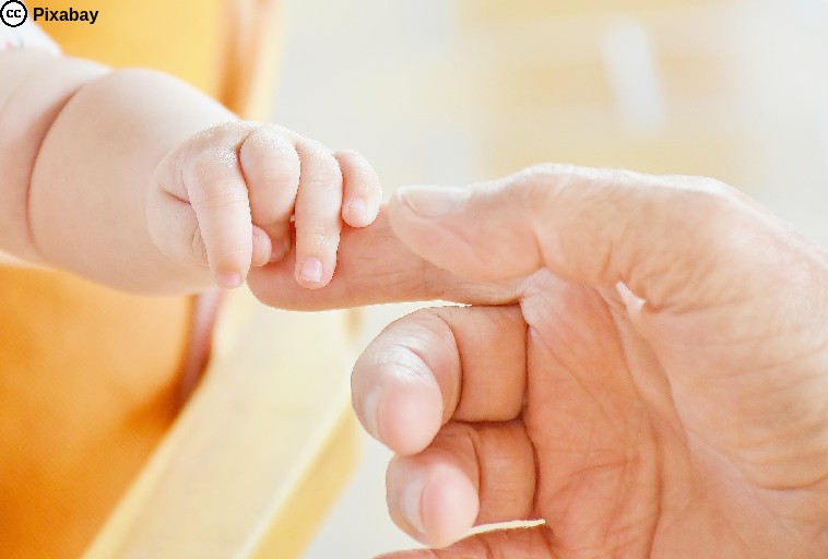 Die Hand eines Babys hält die Hand einer älteren Person. Foto von RitaE auf Pixabay.